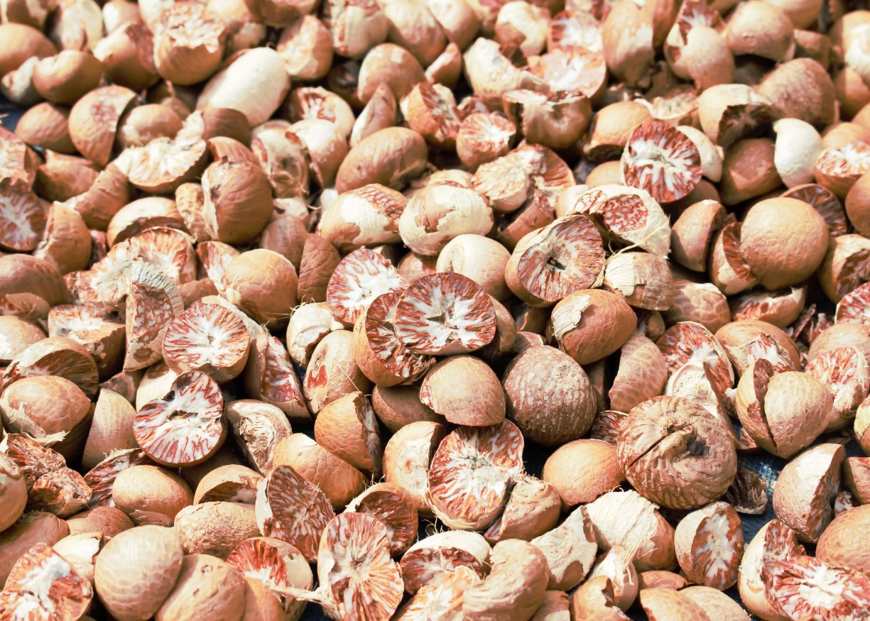 PAJAR BULAN MANDIRI PHOTO PRODUCT 1