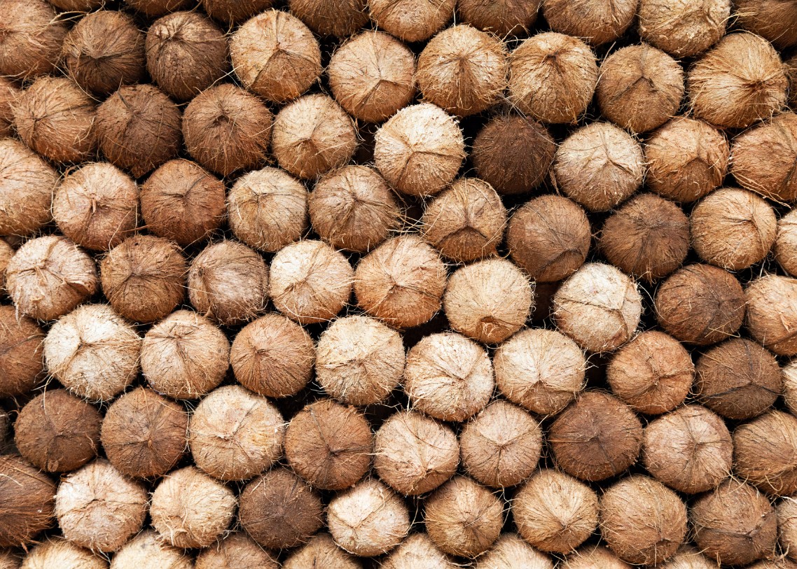 PAJAR BULAN MANDIRI PHOTO PRODUCT 12