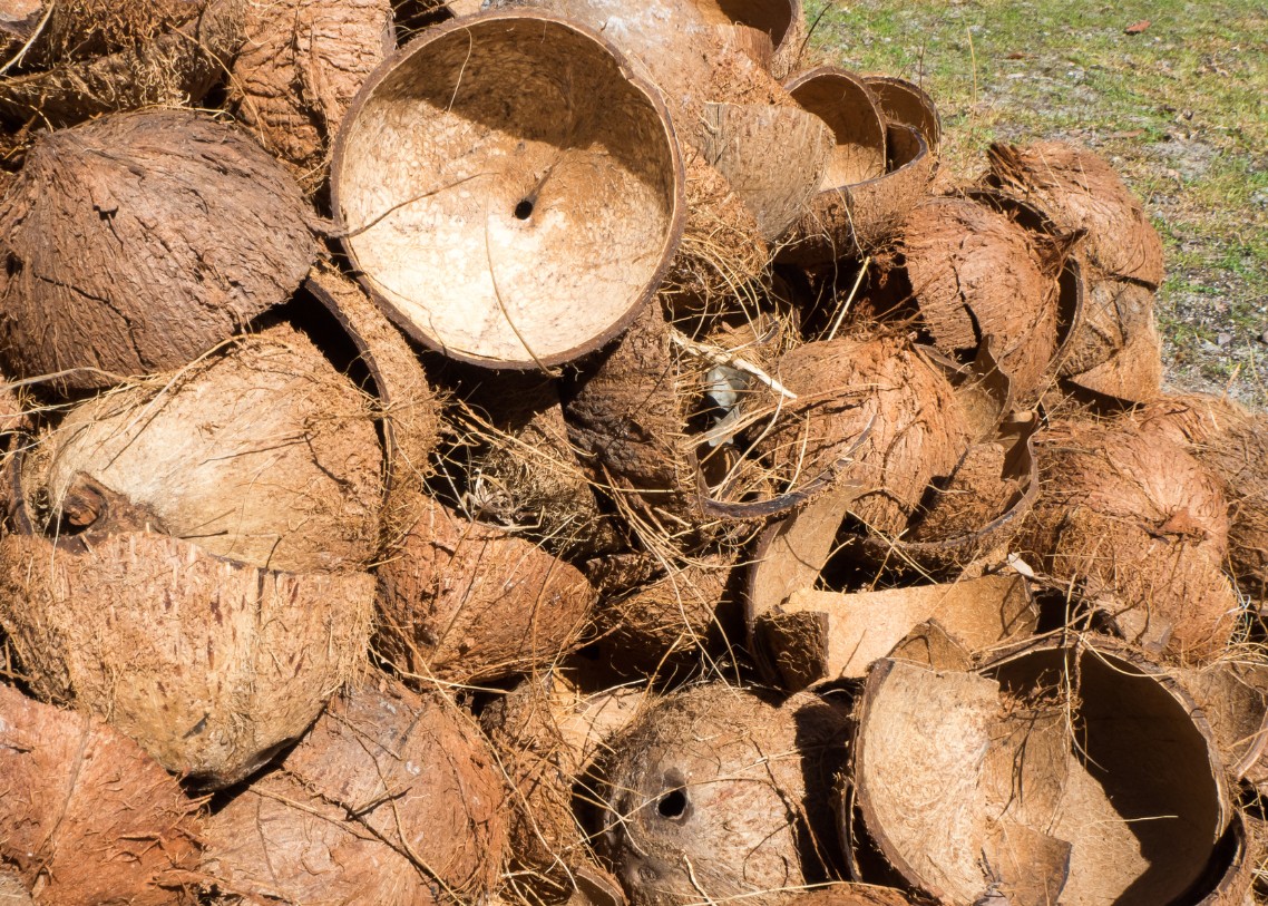 PAJAR BULAN MANDIRI PHOTO PRODUCT 19