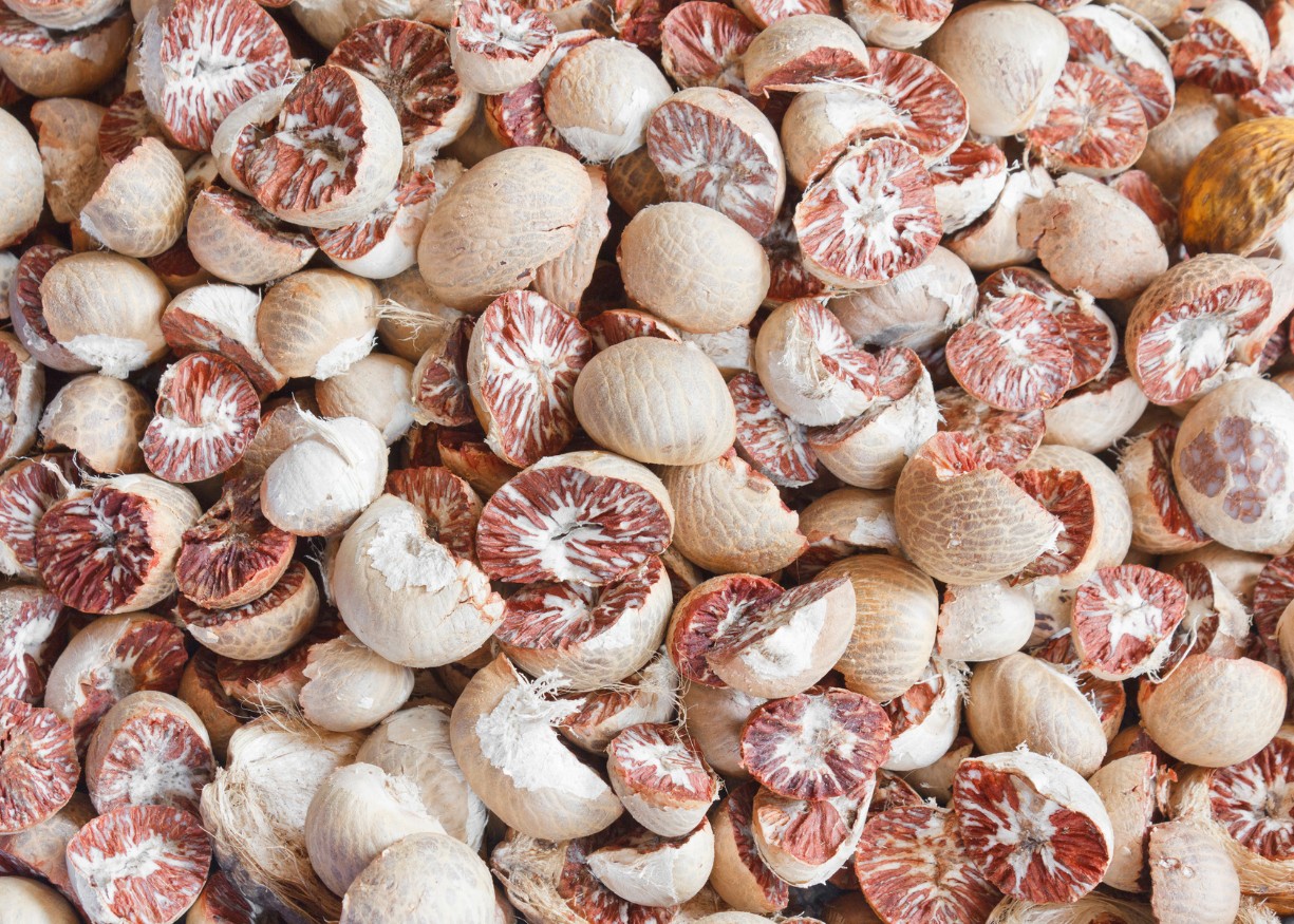 PAJAR BULAN MANDIRI PHOTO PRODUCT 3